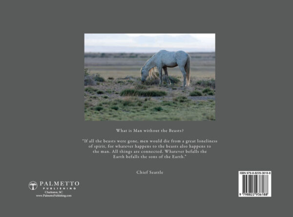 Book Cover Back Book Cover Back