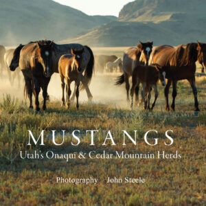 Book Cover Front